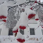 شقة Foresta