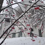 Apartman Foresta