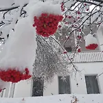 Foresta سامنون