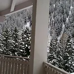 Foresta Apartman *