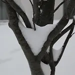 شقة Foresta *