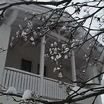 Foresta * سامنون
