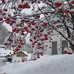 Apartman Foresta Samnaun