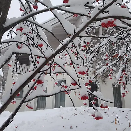 Appartement Foresta