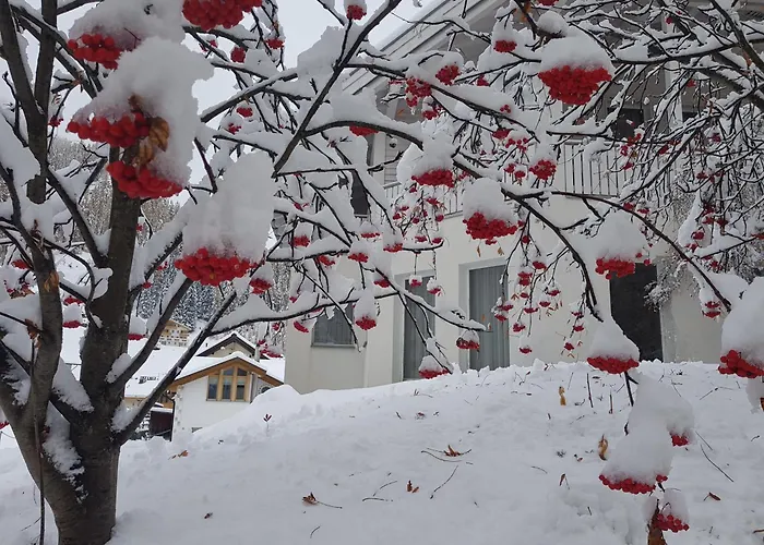 Daire Apart Foresta Samnaun