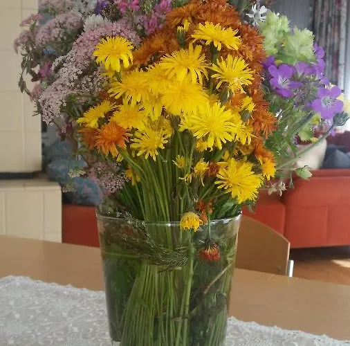 Apart Foresta Daire *