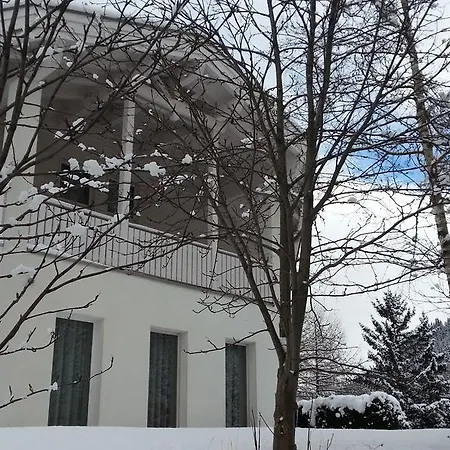 Foresta * זאמנאון