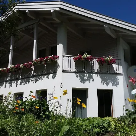 Foresta זאמנאון