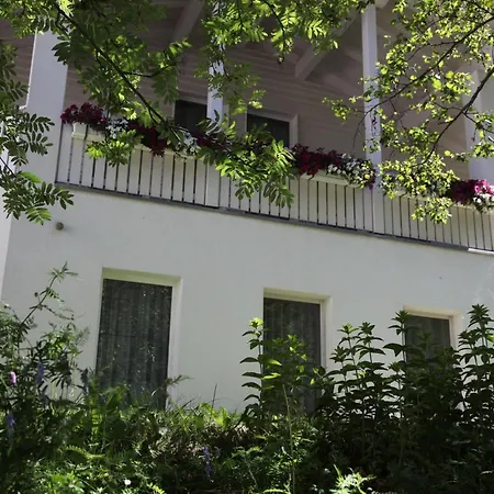 Foresta זאמנאון