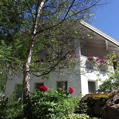 Foresta * זאמנאון