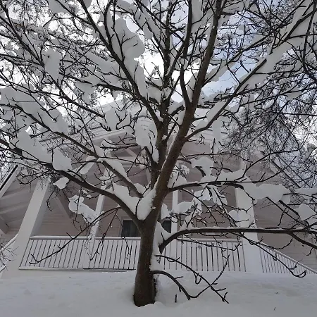 Foresta זאמנאון