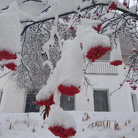 아파트 Foresta 삼나운