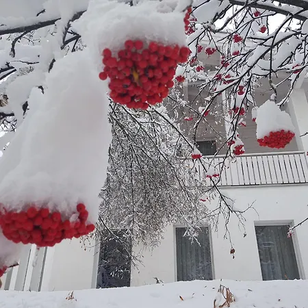 Foresta 삼나운